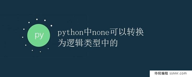 Python中None可以转换为逻辑类型中的