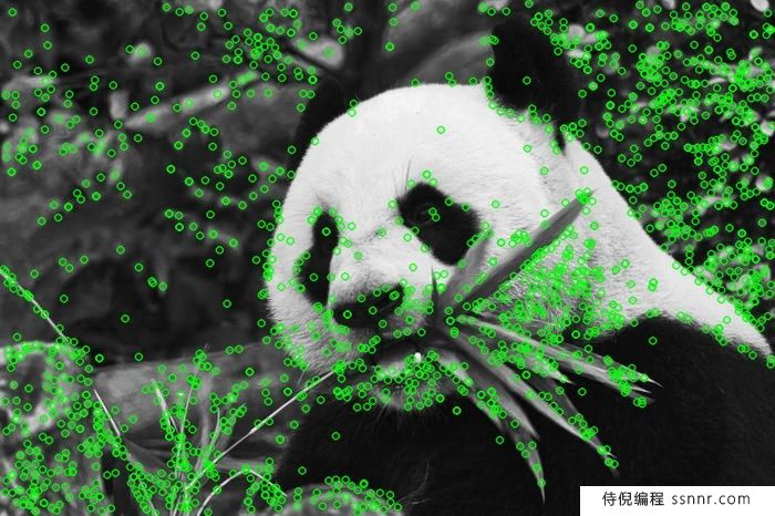 如何在OpenCV Python中比较两张图片？