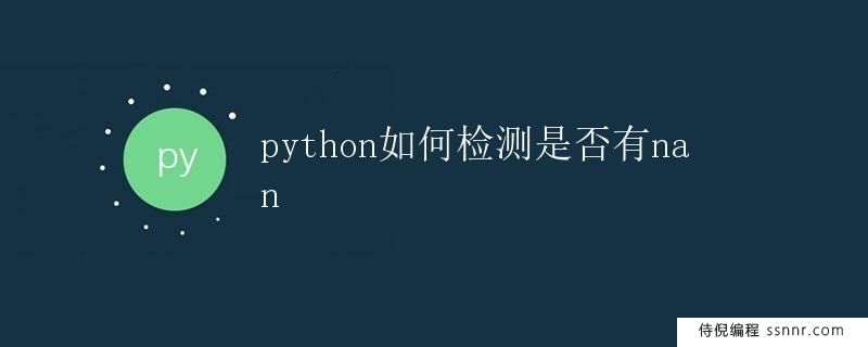 Python如何检测是否有NaN