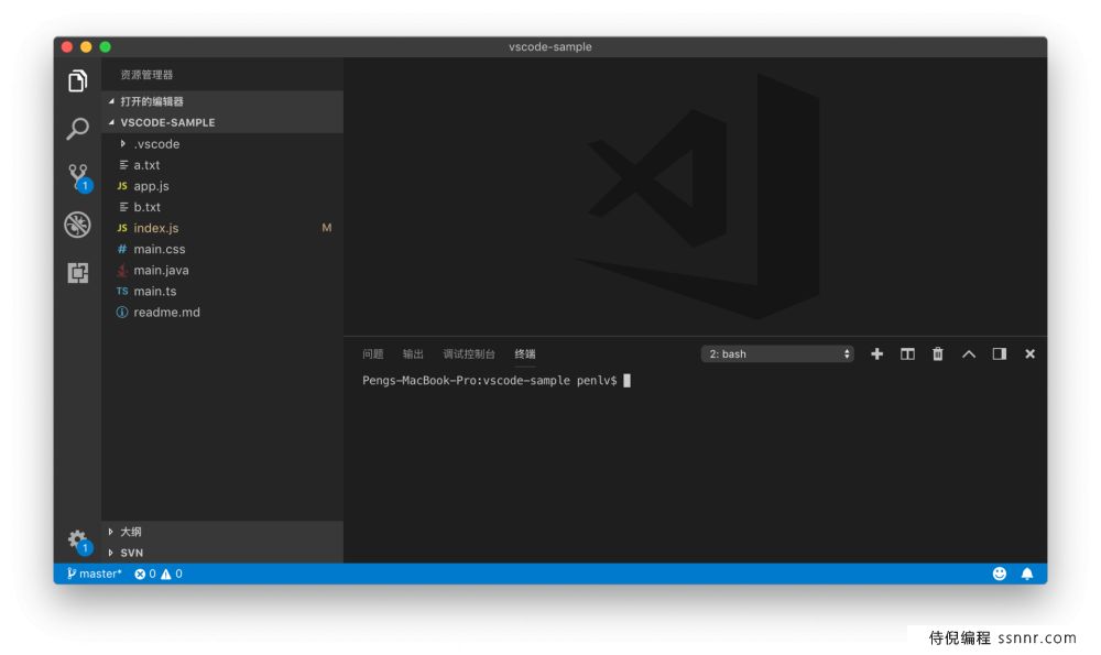 VSCode 创建终端