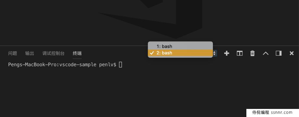 VSCode 创建终端