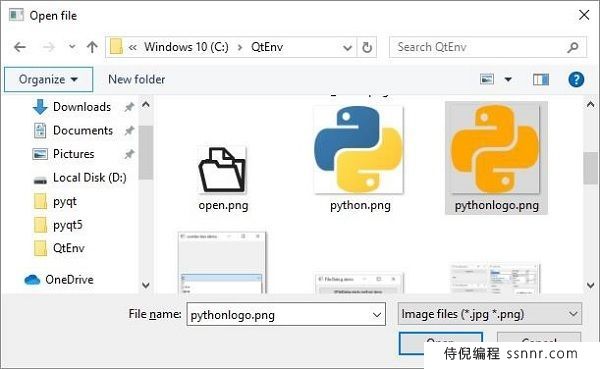 PyQt5 QFileDialog小部件