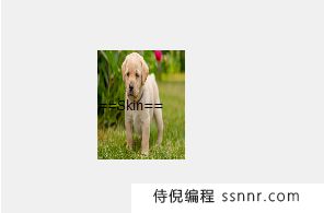 PyQt5 &#8211; 如何设置Label的皮肤