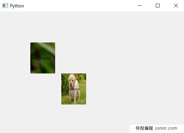 PyQt5 &#8211; 如何设置Label的皮肤