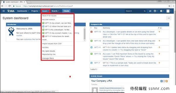 JIRA 仪表盘