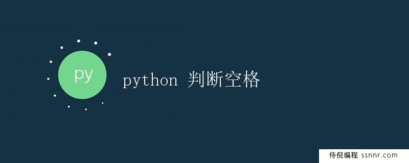 Python 判断空格