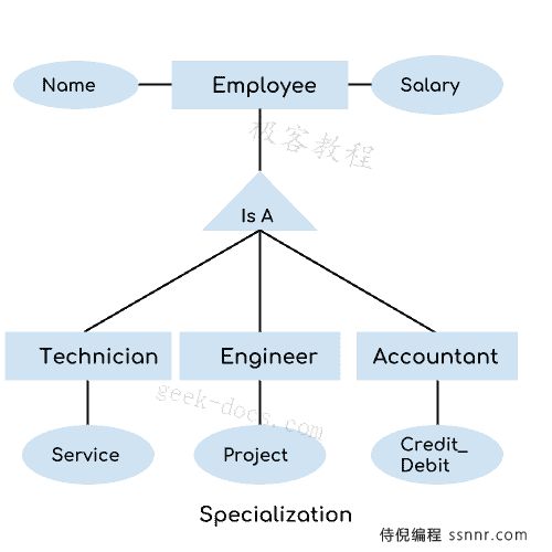 DBMS 特化