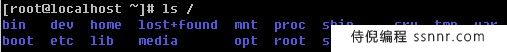 Linux 系统目录结构