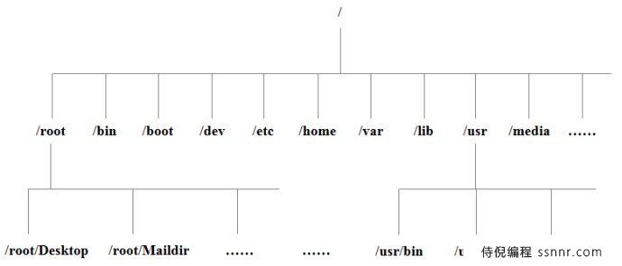Linux 系统目录结构
