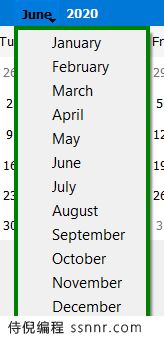 PyQt5 QCalendarWidget 为月份菜单设置边框