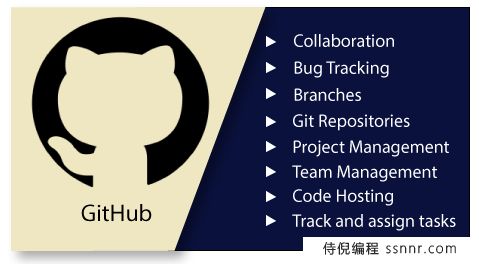 GitHub是什么