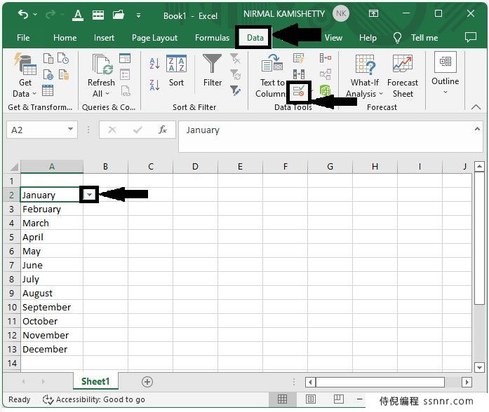 Excel 始终显示数据验证列表的箭头