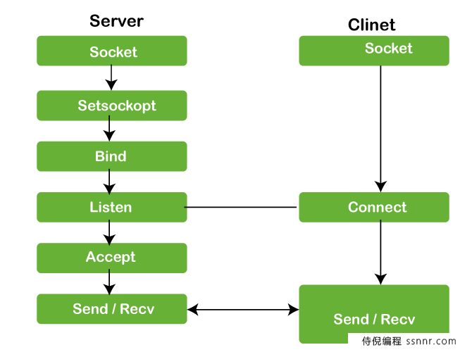 C-C++中的Socket编程