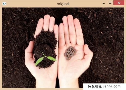 使用Python和OpenCV在图像中识别颜色