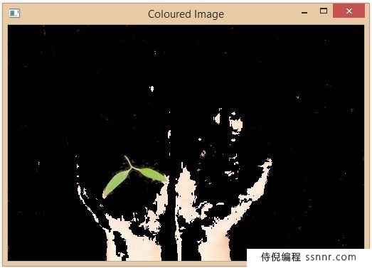 使用Python和OpenCV在图像中识别颜色